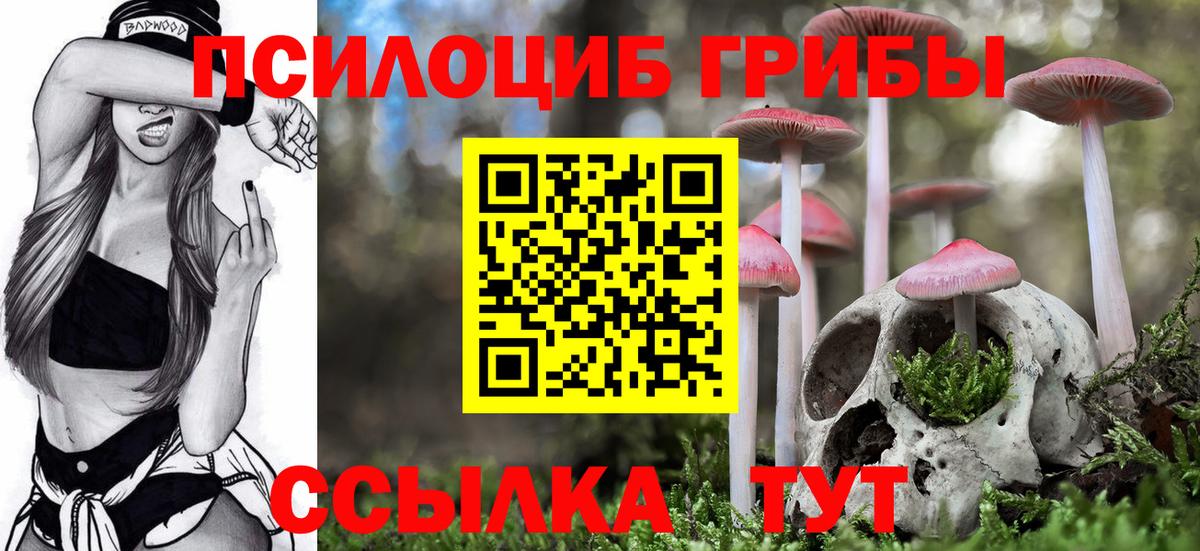 Галлюциногенные грибы GOLDEN TEACHER  Псилоцибиновые грибы Cubensis  Вход с VPN  Великие Луки 